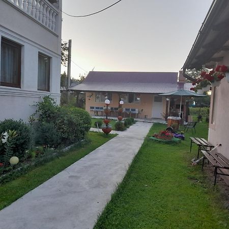 Casa Ionescu Hotel ซาโดวา ภายนอก รูปภาพ