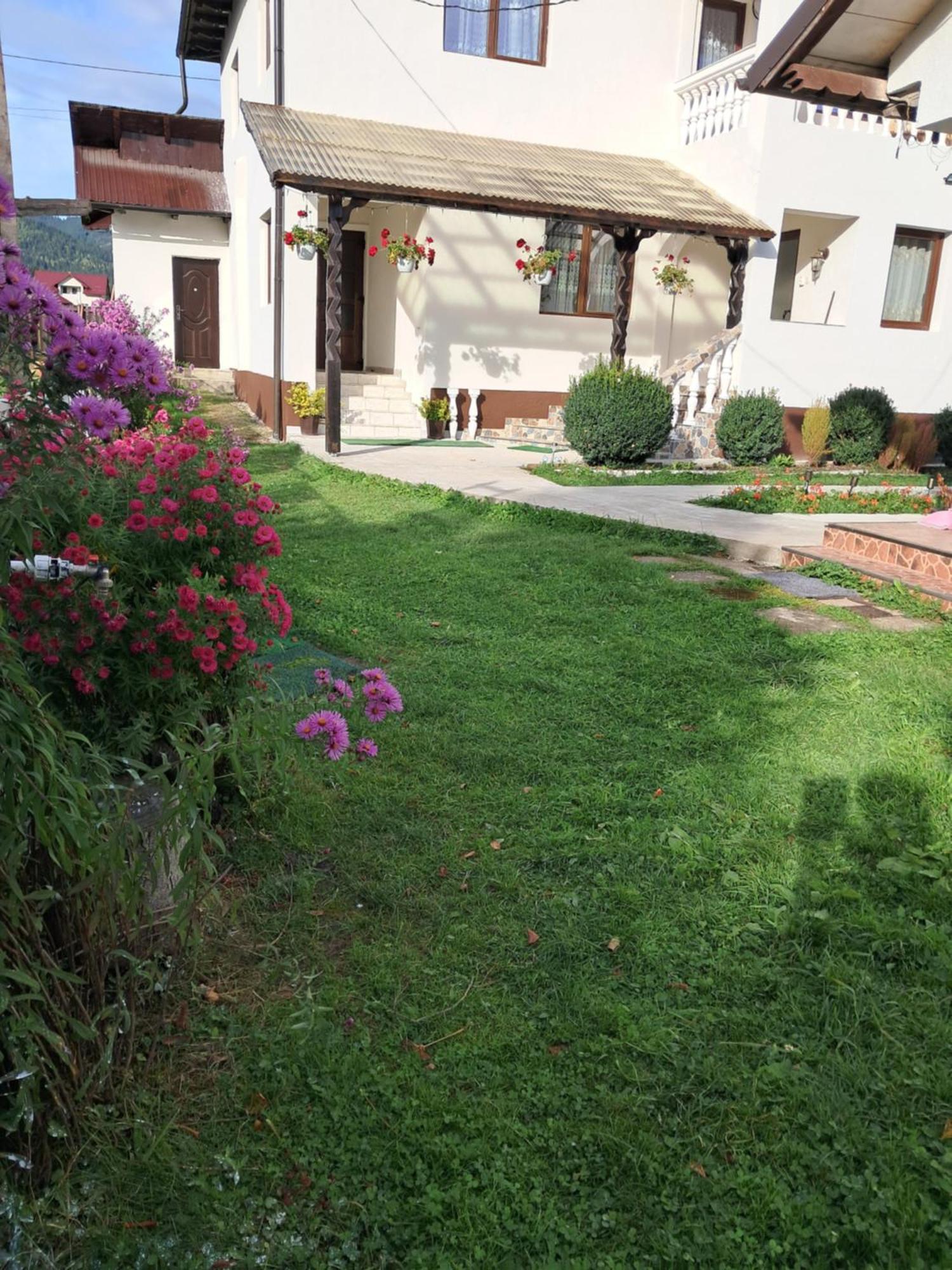Casa Ionescu Hotel ซาโดวา ห้อง รูปภาพ